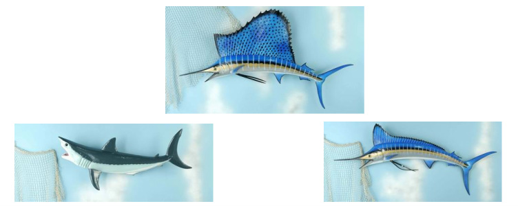 Blue marlin mounts, white marlin mounts wholesale - FIN FEATHERS